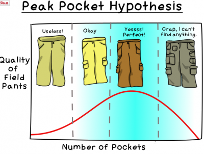 Tails From the Field -pocket hypothesis