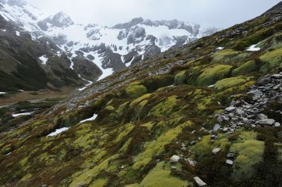 SOI - Glacier Marital Valley